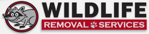 Wildlife Removal Services - Loveland Ohio